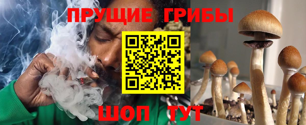 Галлюциногенные грибы ЛСД  закладка  Вологда  Псилоцибиновые грибы Psilocybine cubensis  Вход с VPN 
