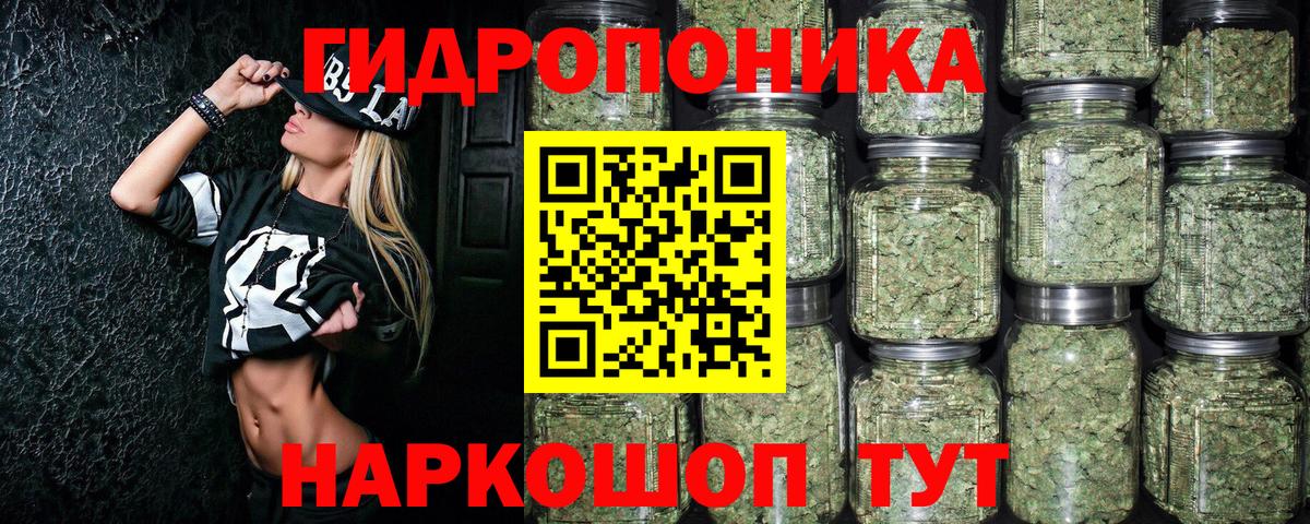 Каннабис Amnesia  Канабис SATIVA & INDICA  Вологда  Шишки марихуана план  Вход с VPN 